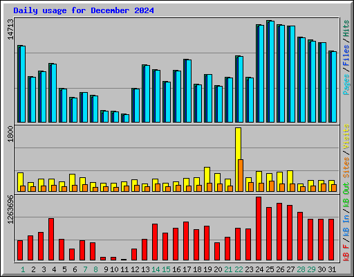 Daily usage for December 2024