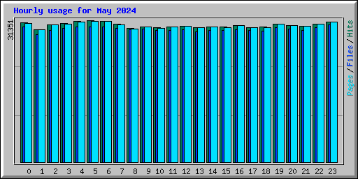 Hourly usage for May 2024