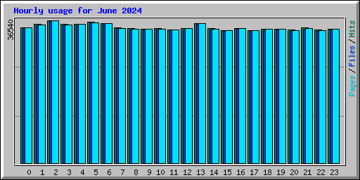 Hourly usage for June 2024