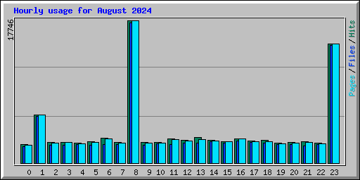 Hourly usage for August 2024