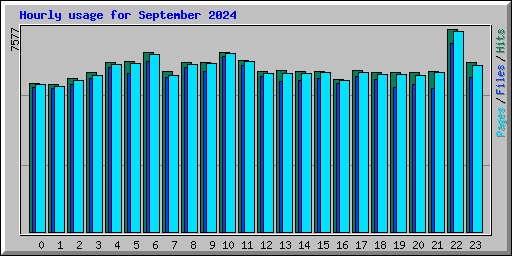 Hourly usage for September 2024