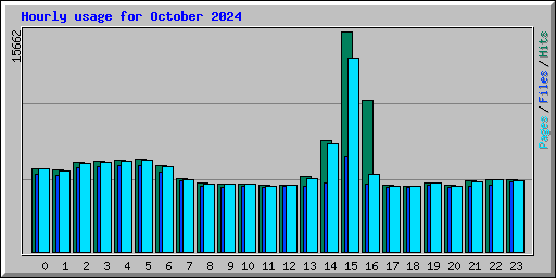 Hourly usage for October 2024