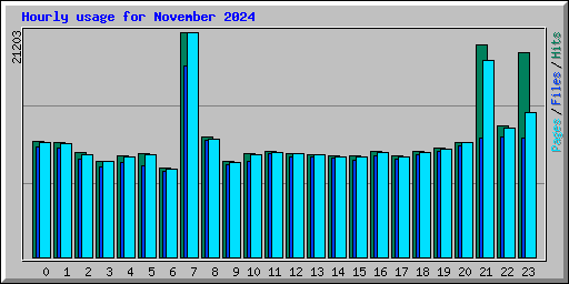 Hourly usage for November 2024