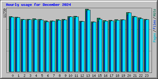 Hourly usage for December 2024