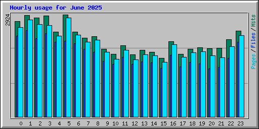 Hourly usage for June 2025